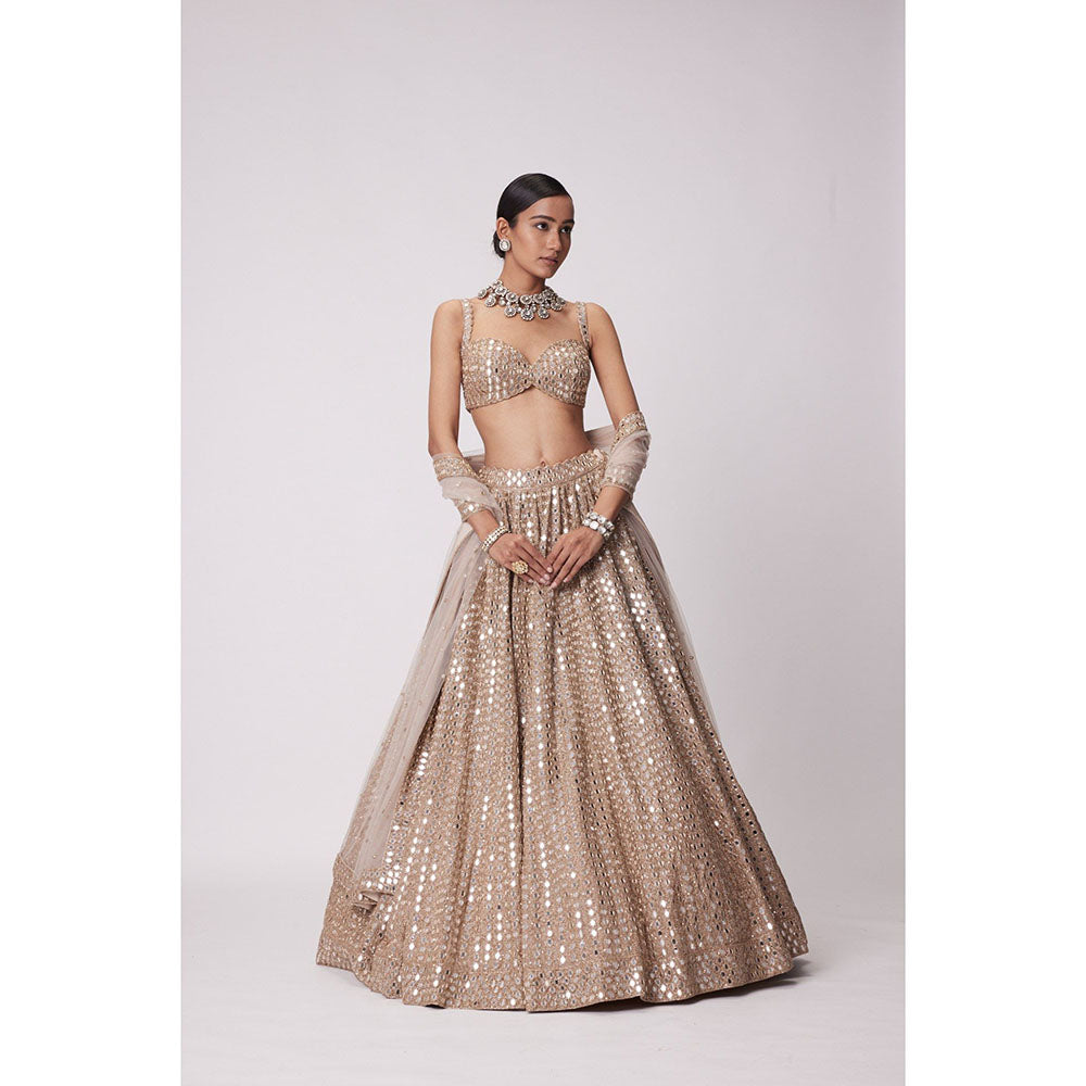 Vvani by Vani Vats Beige Embroidered Lehenga with Blouse and Dupatta (Set of 3)