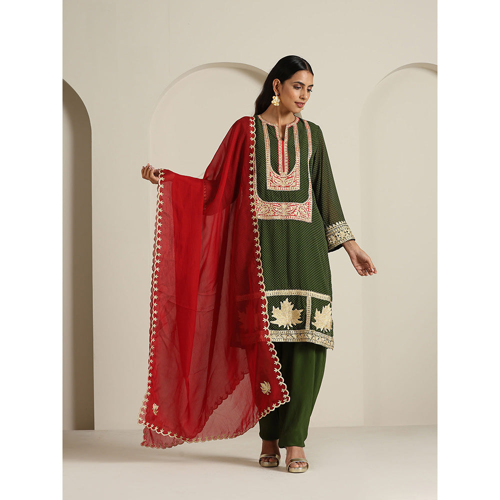 WAZIR C Gul Polka Dot Kurta with Salwar & Dupatta (Set of 3)