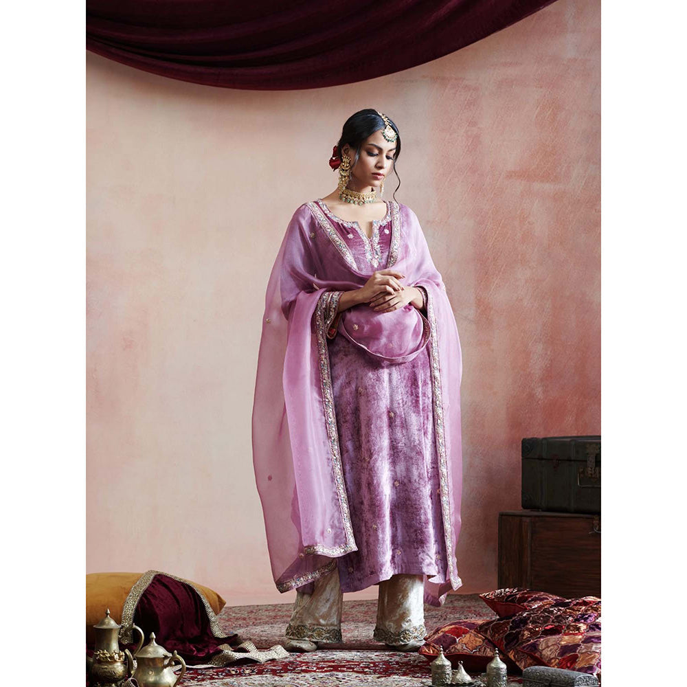 WeaverStory Hand Embroidered Plum Kurta with Beige Farshi & Organza Dupatta (Set of 3)