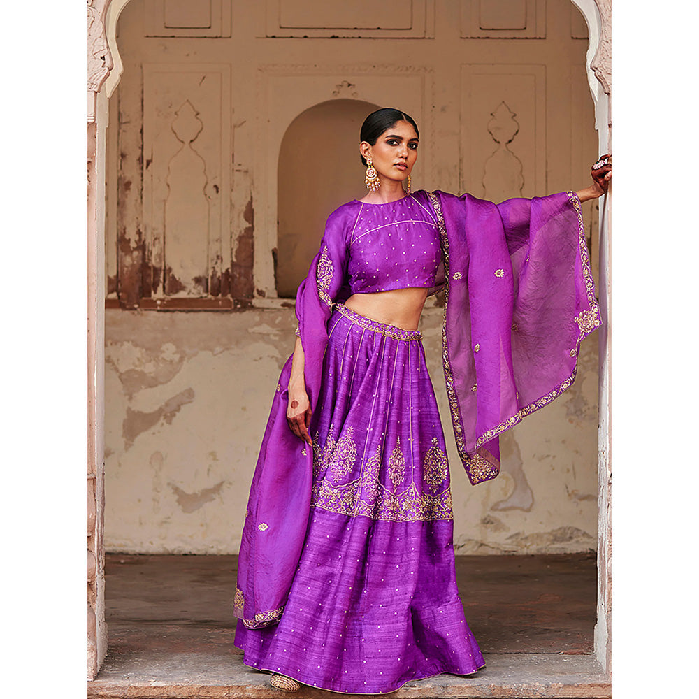 WeaverStory Purple Raw Silk Hand Kalidar Lehenga with Choli and Dupatta (Set of 3)