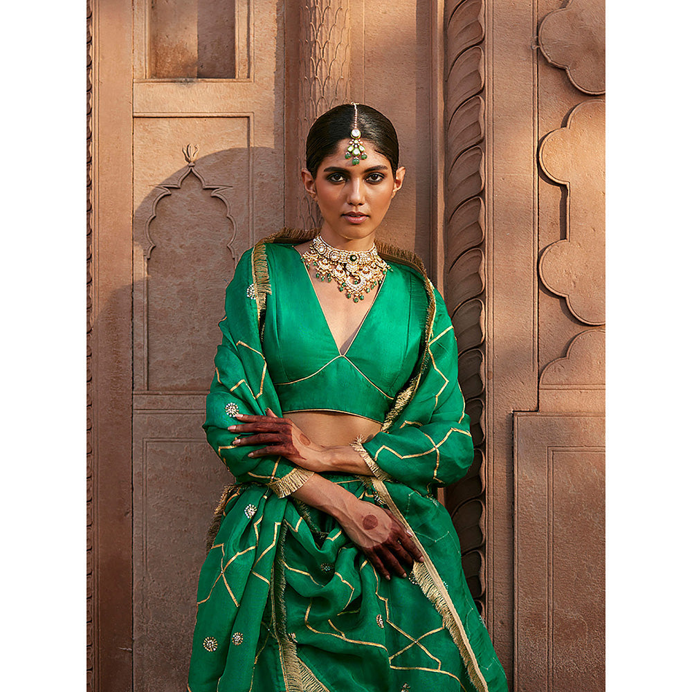 WeaverStory Verdian Green Banarasi Lehenga with Pure Silk Choli and Organza Dupatta (Set of 3)