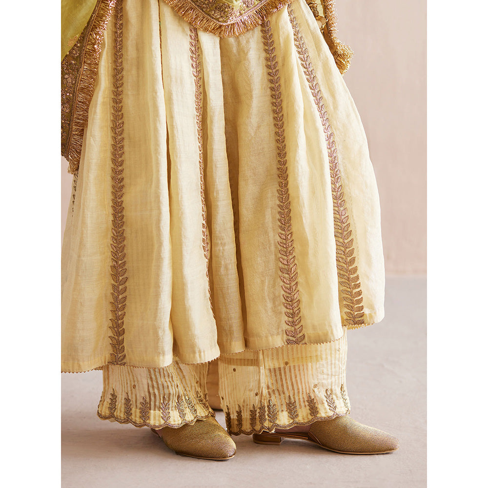 WeaverStory Nayaab Off White Cotton Tissue Angarkha with Pant and Dupatta (Set of 3)