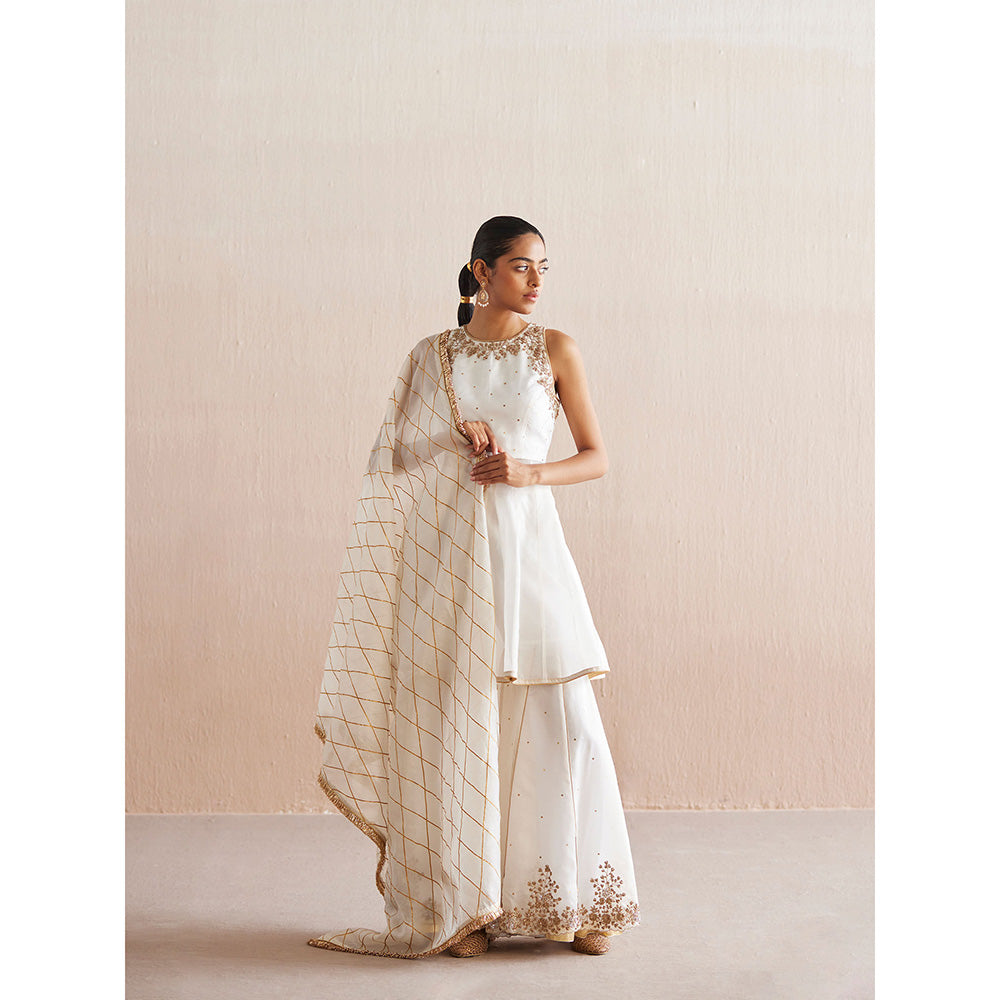WeaverStory Afsana White Organza Top with Gharara (Set of 2)