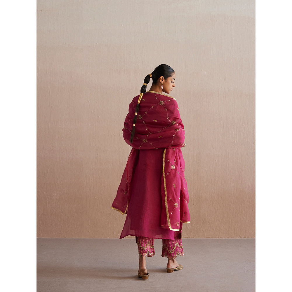 WeaverStory Meheroo Rani Pink Organza Kurta with Cotton Chanderi Pant (Set of 2)