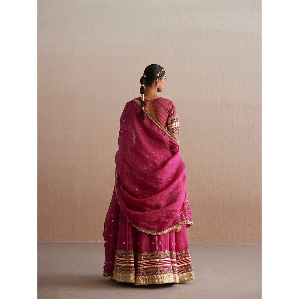 WeaverStory Mastani Rani Pink Cotton Tissue Choli with Lehenga and Dupatta (Set of 3)