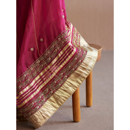 WeaverStory Mastani Rani Pink Cotton Tissue Choli with Lehenga (Set of 2)
