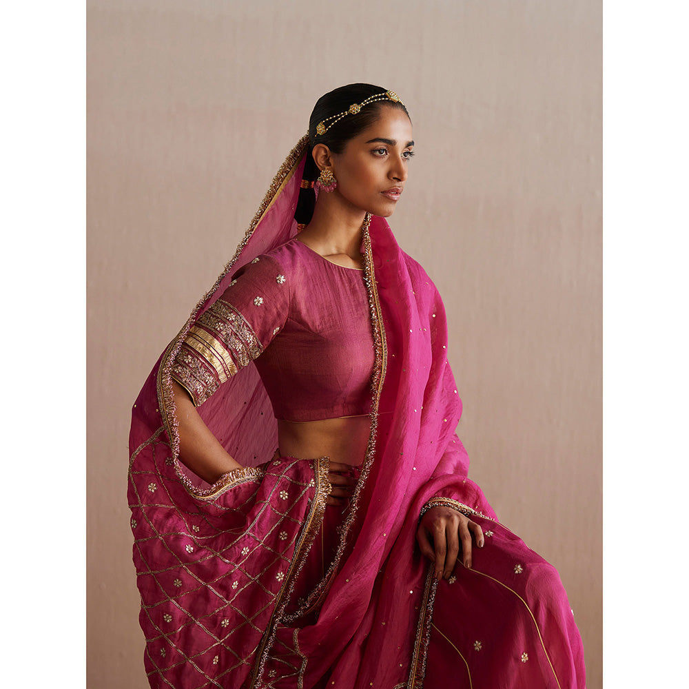 WeaverStory Mastani Rani Pink Cotton Tissue Choli with Lehenga (Set of 2)