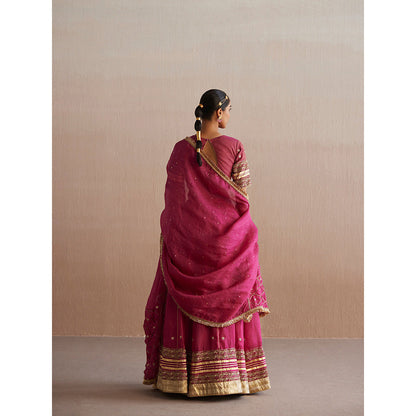 WeaverStory Mastani Rani Pink Cotton Tissue Choli with Lehenga (Set of 2)
