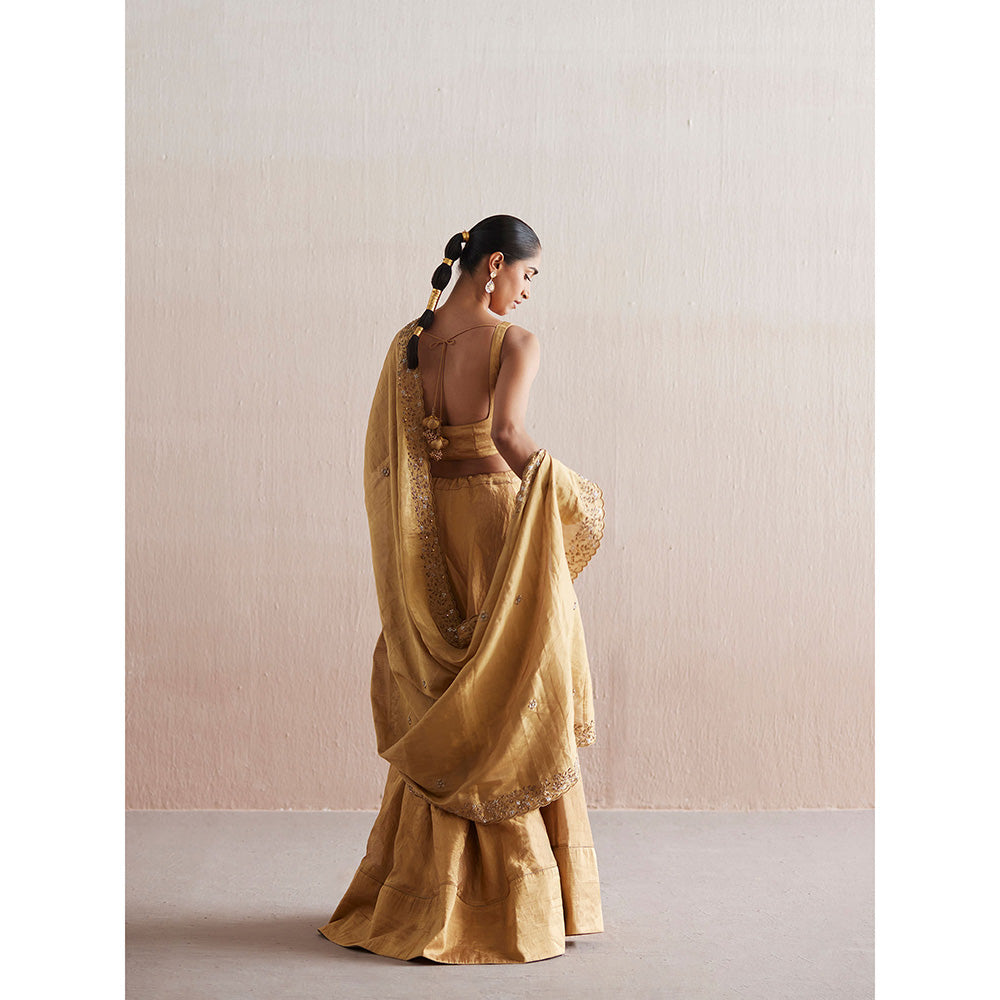 WeaverStory Mastani Gold Tissue Choli with Lehenga (Set of 2)