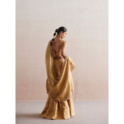 WeaverStory Mastani Gold Tissue Choli with Lehenga (Set of 2)