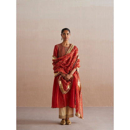 WeaverStory Noor Rust Orange Organza Kurta with Cotton Tissue Pant (Set of 2)