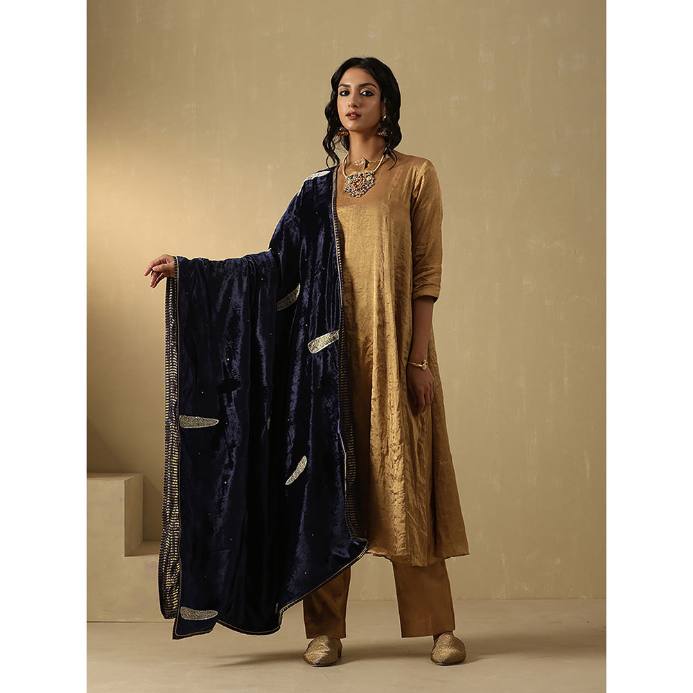 WeaverStory Navy Blue Embroidered Zardozi Dupatta
