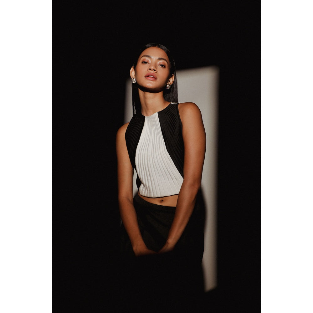 Zaitra Zebra Crop Top