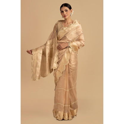 Zal from Benaras Golden Pure Tissue Silk Banarasi Hand Embroidered Saree without Blouse