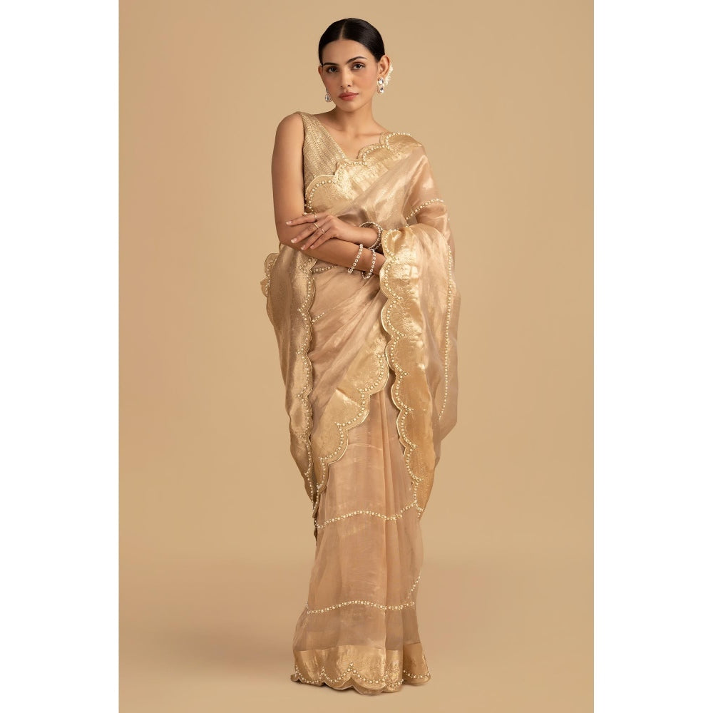Zal from Benaras Golden Pure Tissue Silk Banarasi Hand Embroidered Saree without Blouse