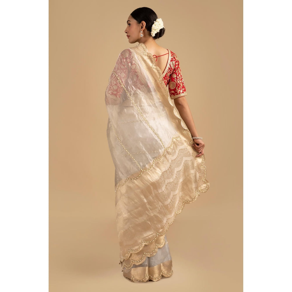 Zal from Benaras Silver Pure Tissue Silk Banarasi Hand Embroidered Saree without Blouse