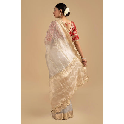 Zal from Benaras Silver Pure Tissue Silk Banarasi Hand Embroidered Saree without Blouse