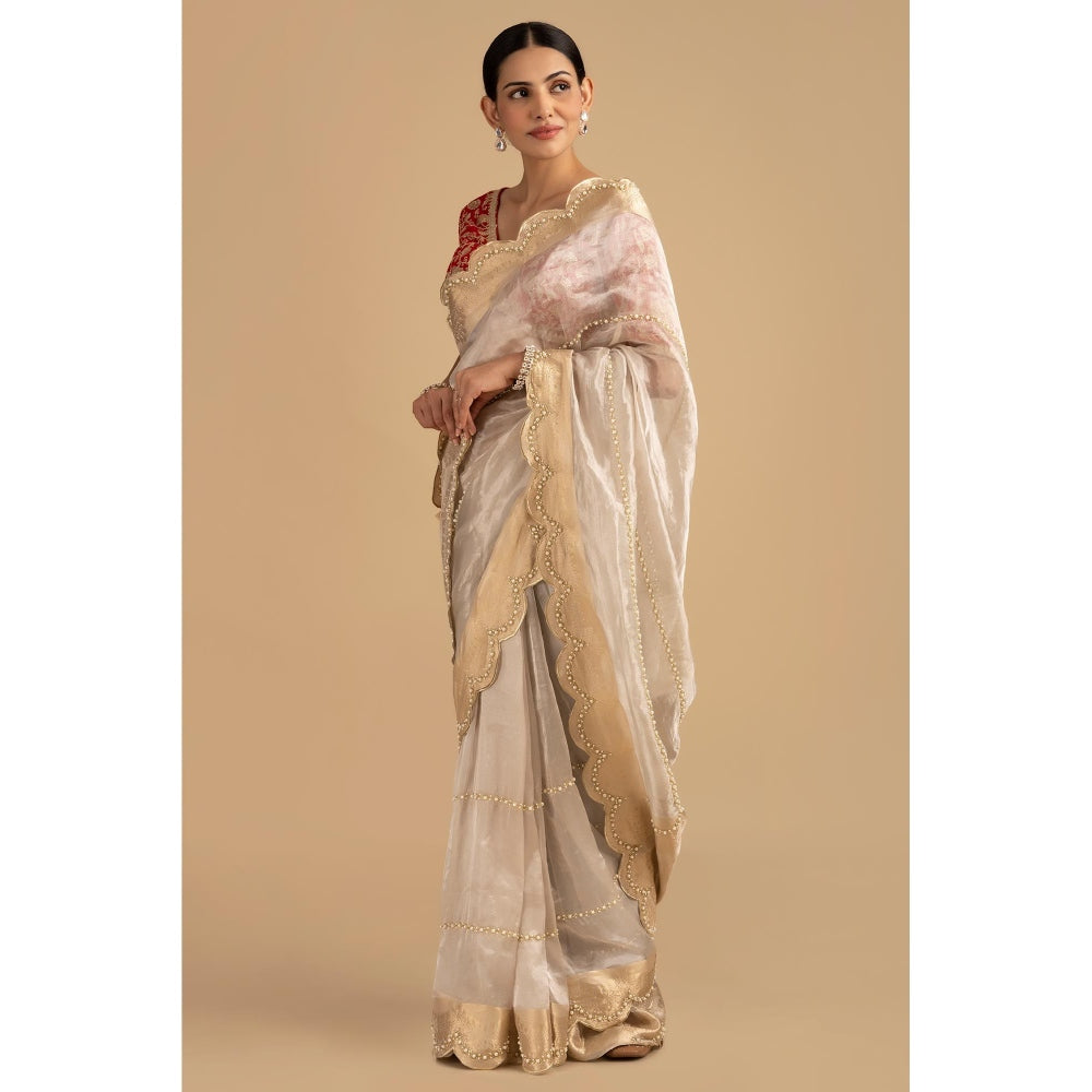 Zal from Benaras Silver Pure Tissue Silk Banarasi Hand Embroidered Saree without Blouse