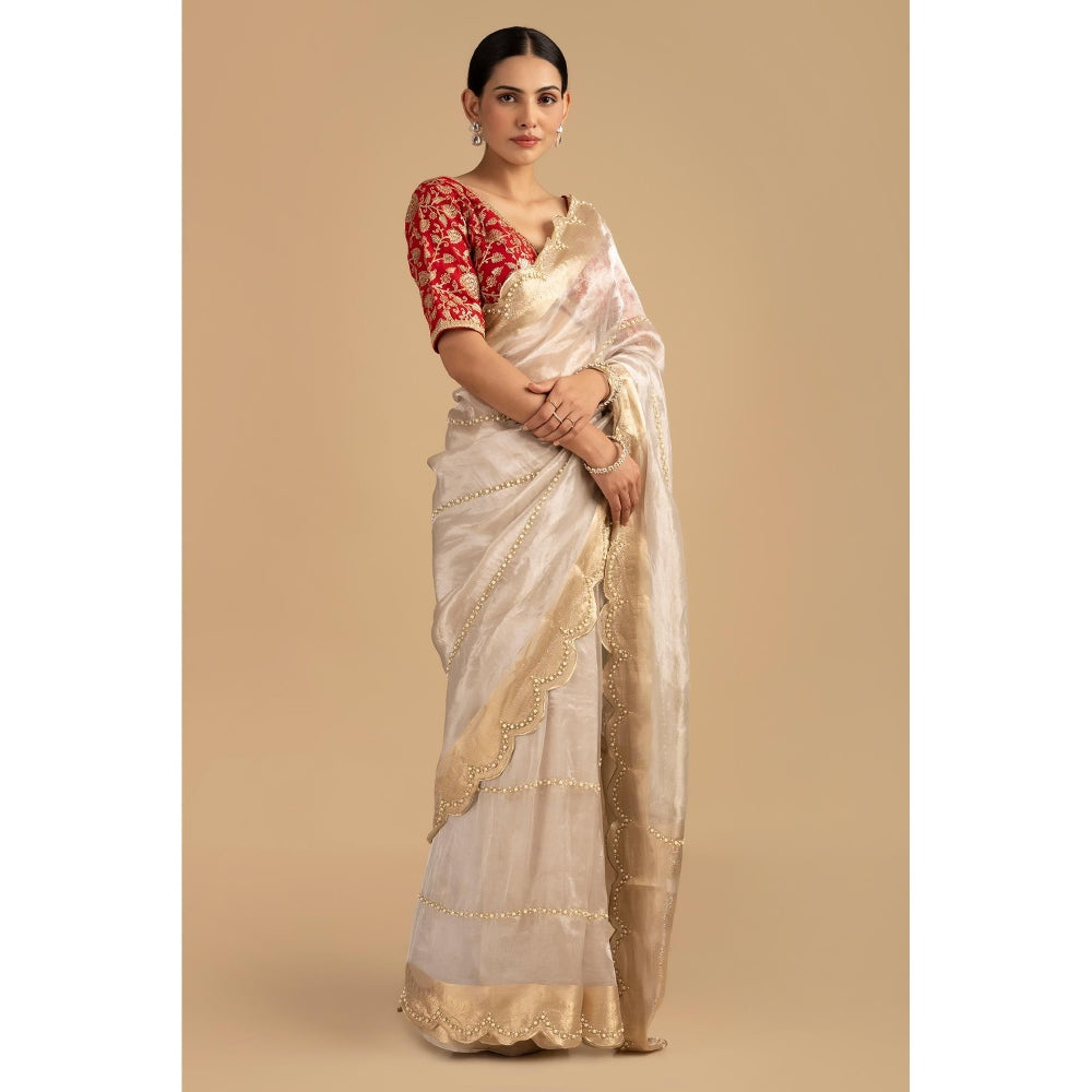 Zal from Benaras Silver Pure Tissue Silk Banarasi Hand Embroidered Saree without Blouse