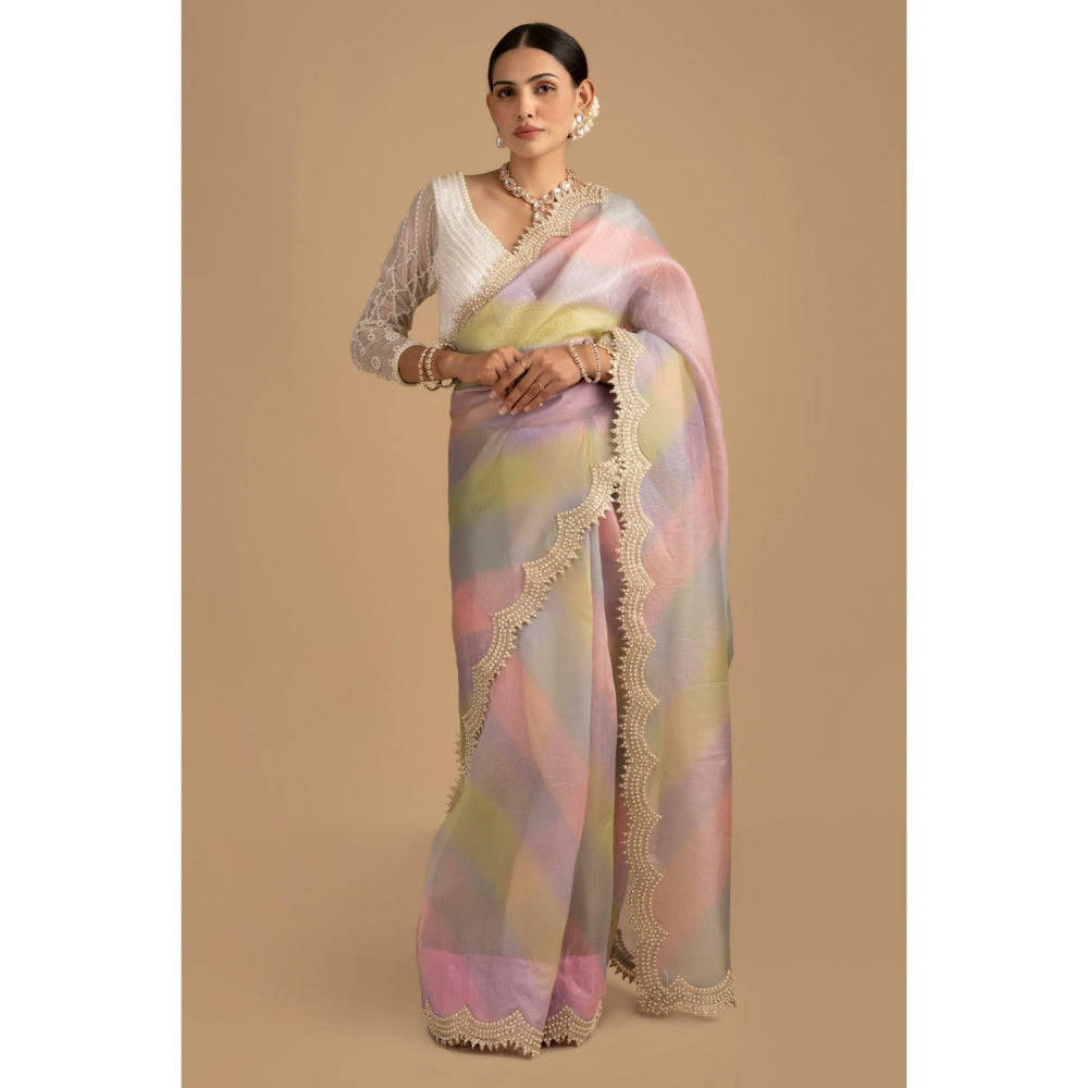 Zal from Benaras Pastel Multicoloured Pearl Handwork Saree with Stitched Blouse