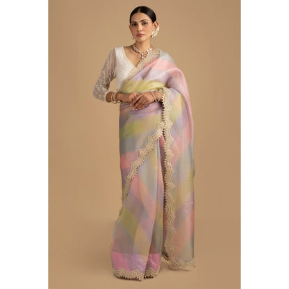 Zal from Benaras Pastel Multicoloured Pearl Handwork Saree with Stitched Blouse