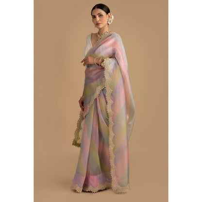 Zal from Benaras Pastel Multicoloured Pearl Handwork Saree with Stitched Blouse