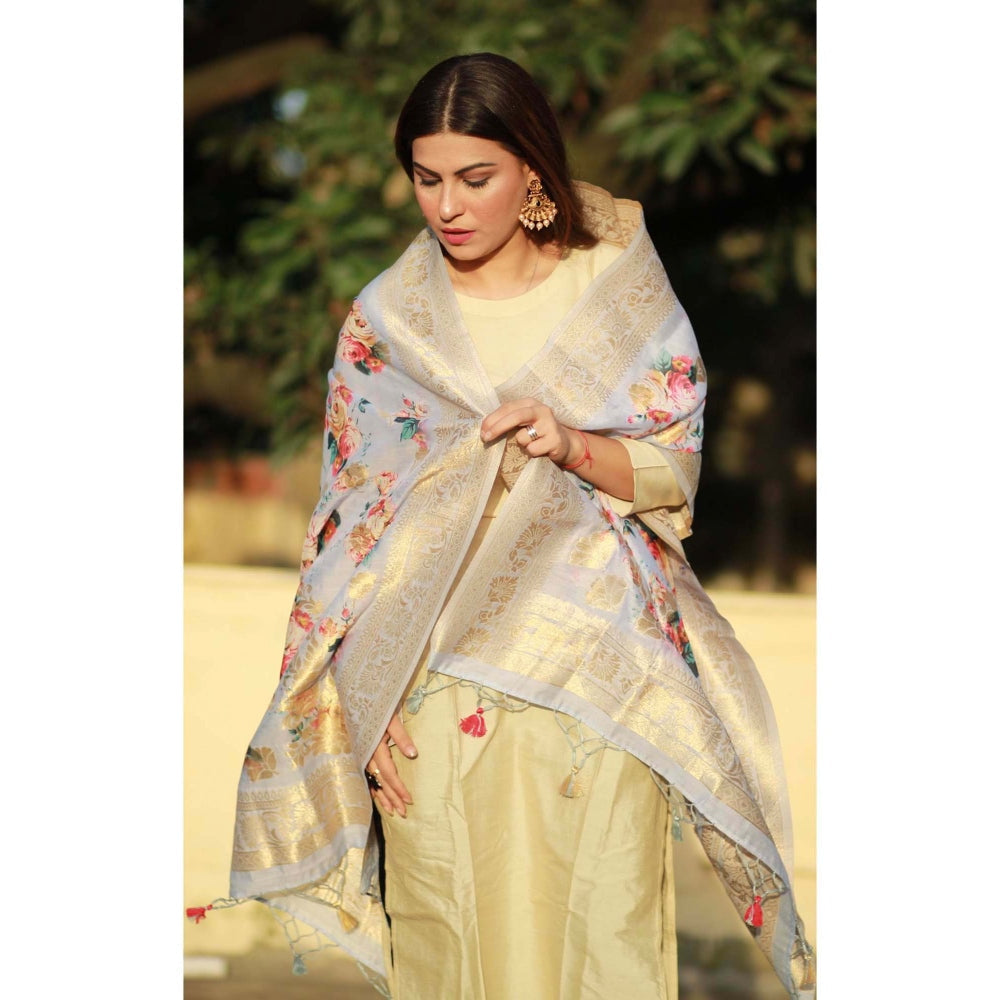 Zal from Benaras Blue Pure Silk Banarasi Handloom Dupatta