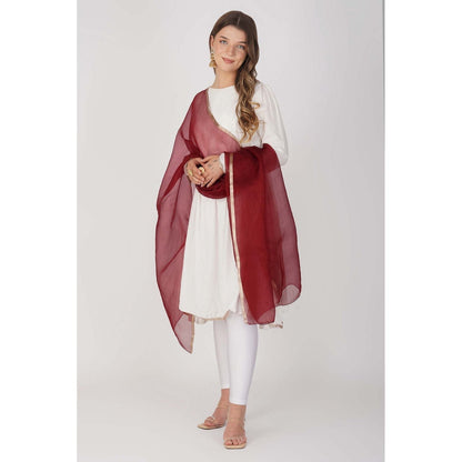Zal from Benaras Maroon Pure Organza Silk Handloom Dupatta