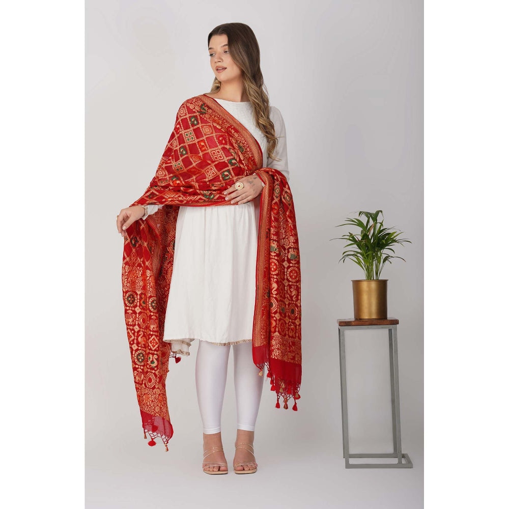 Zal from Benaras Red Pure Silk Bandani Banaras Handloom Dupatta