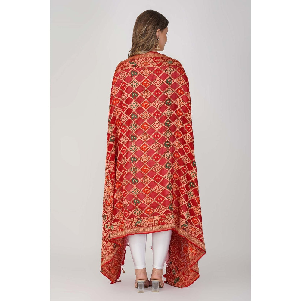 Zal from Benaras Red Pure Silk Bandani Banaras Handloom Dupatta