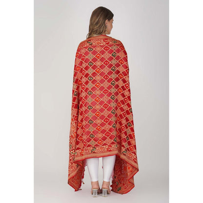 Zal from Benaras Red Pure Silk Bandani Banaras Handloom Dupatta