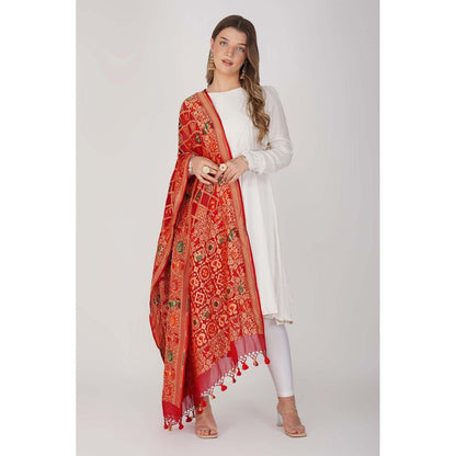 Zal from Benaras Red Pure Silk Bandani Banaras Handloom Dupatta