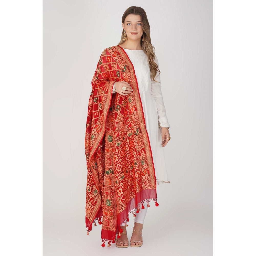 Zal from Benaras Red Pure Silk Bandani Banaras Handloom Dupatta