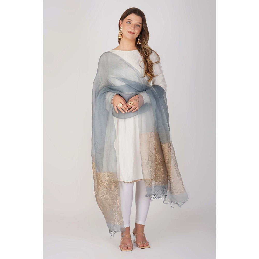 Zal from Benaras Blue Pure Crushed Tissue Silk Banarasi Handloom Dupatta