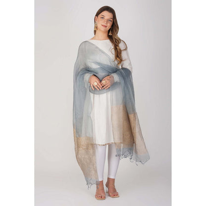 Zal from Benaras Blue Pure Crushed Tissue Silk Banarasi Handloom Dupatta