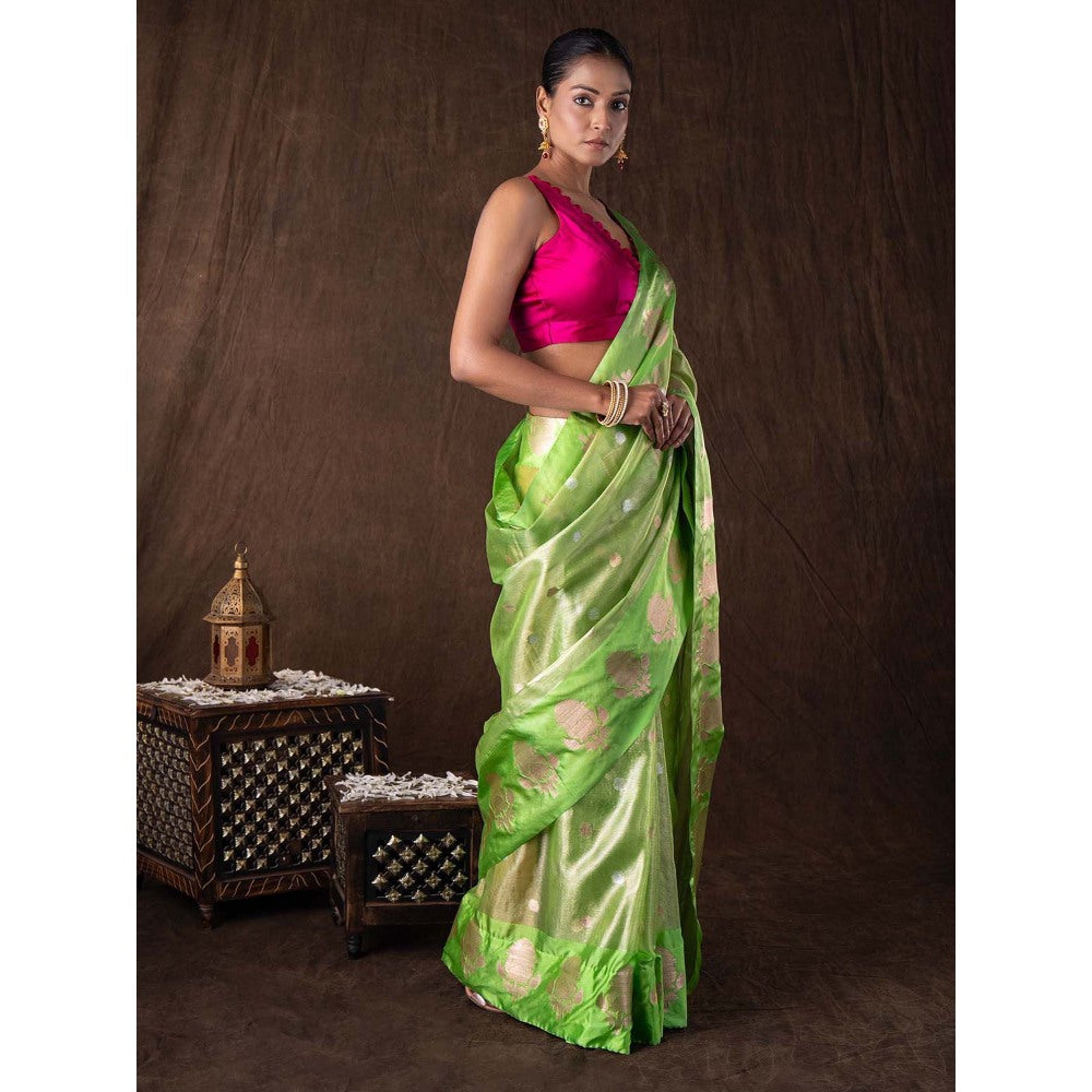Zal from Benaras Pista Green Tissue Organza Silk Banarasi Handloom Saree without Blouse