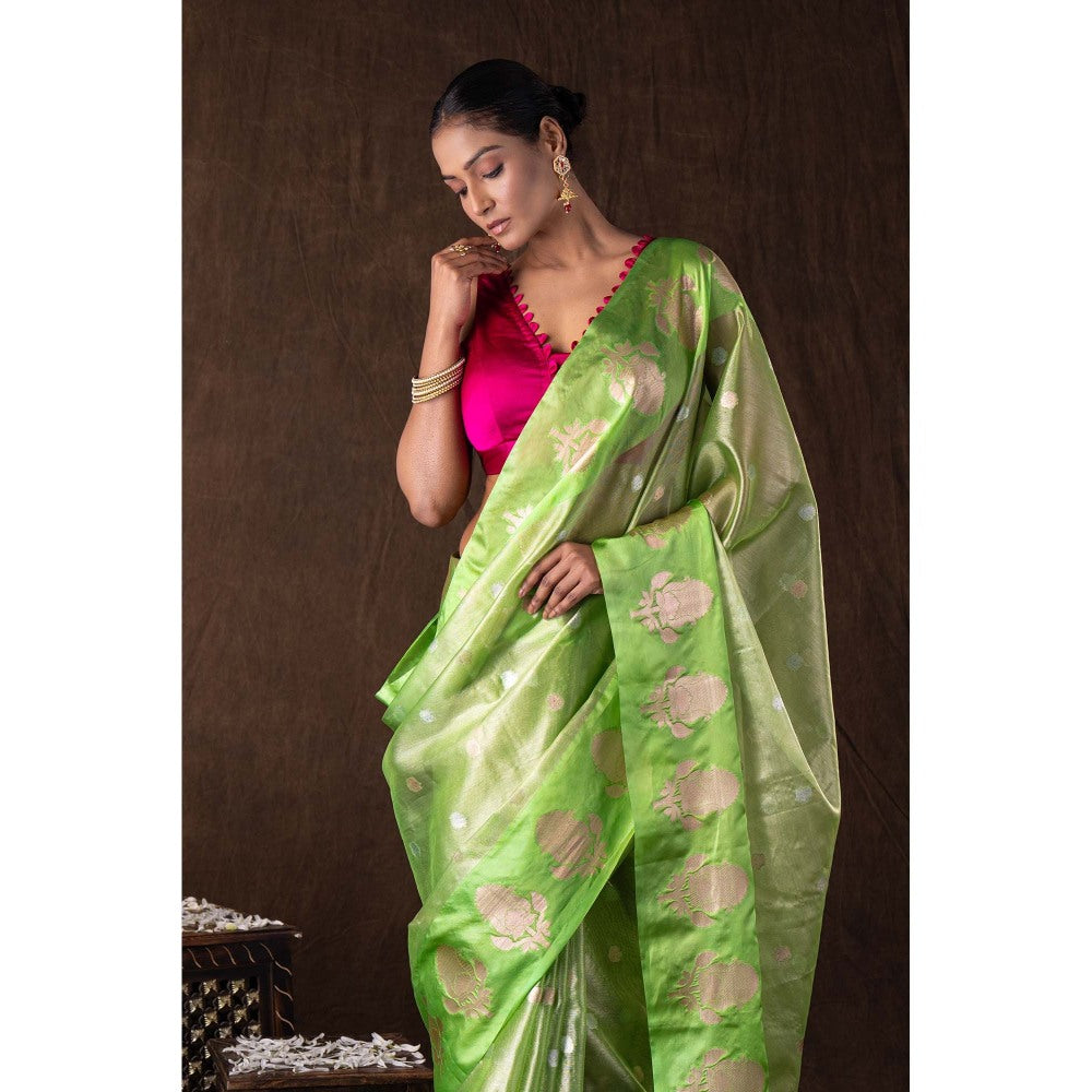 Zal from Benaras Pista Green Tissue Organza Silk Banarasi Handloom Saree without Blouse
