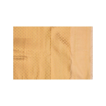 Zal from Benaras Golden Pure Katan Tissue Silk Banarasi Handloom Saree without Blouse Piece