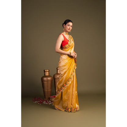 Zal from Benaras Orange Pure Tissue Silk Hand Embroidered Saree without Blouse Piece