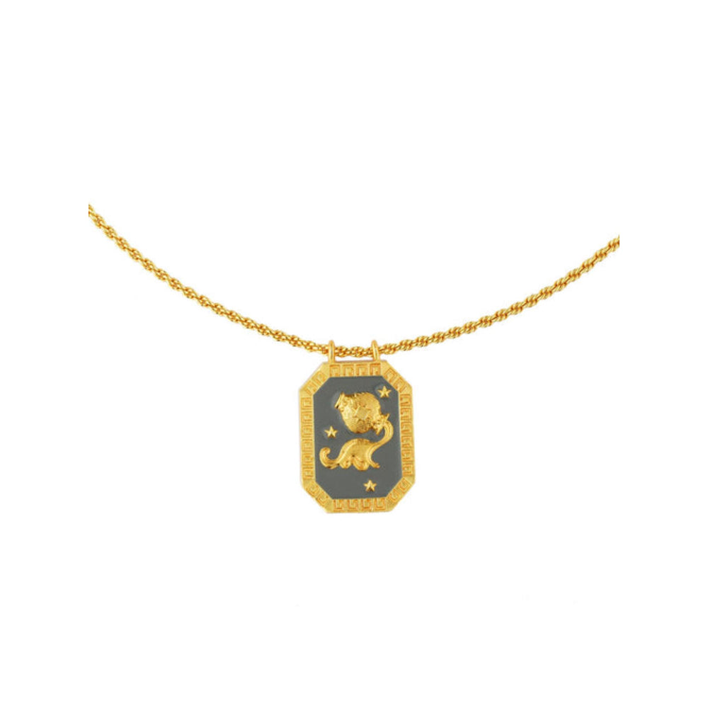 ZARIIN Aquarius Zodiac Tablet Reversible Necklace With Amethyst