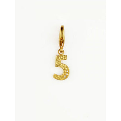 ZARIIN Fabulous Five Charm