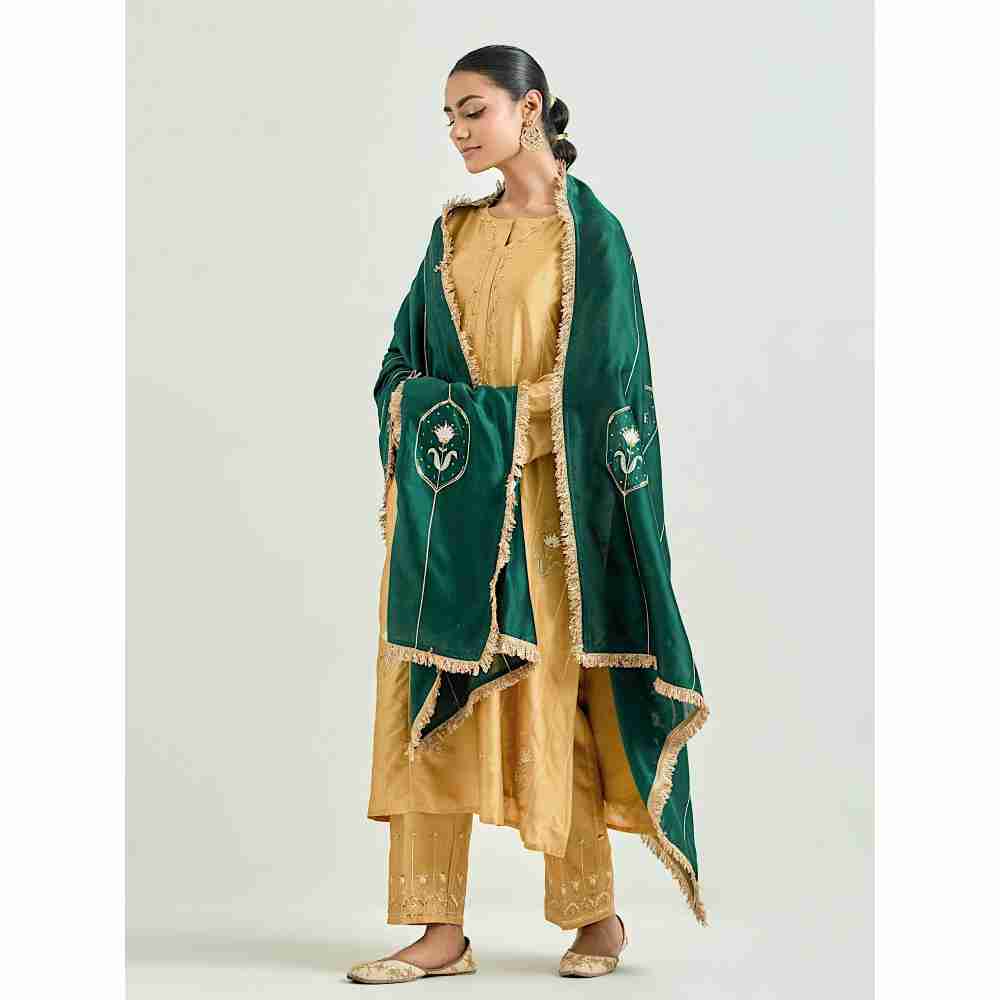 Anantaa by Roohi Trehan Mustard Hand Embroidered Silk Chanderi Kurta with Gota