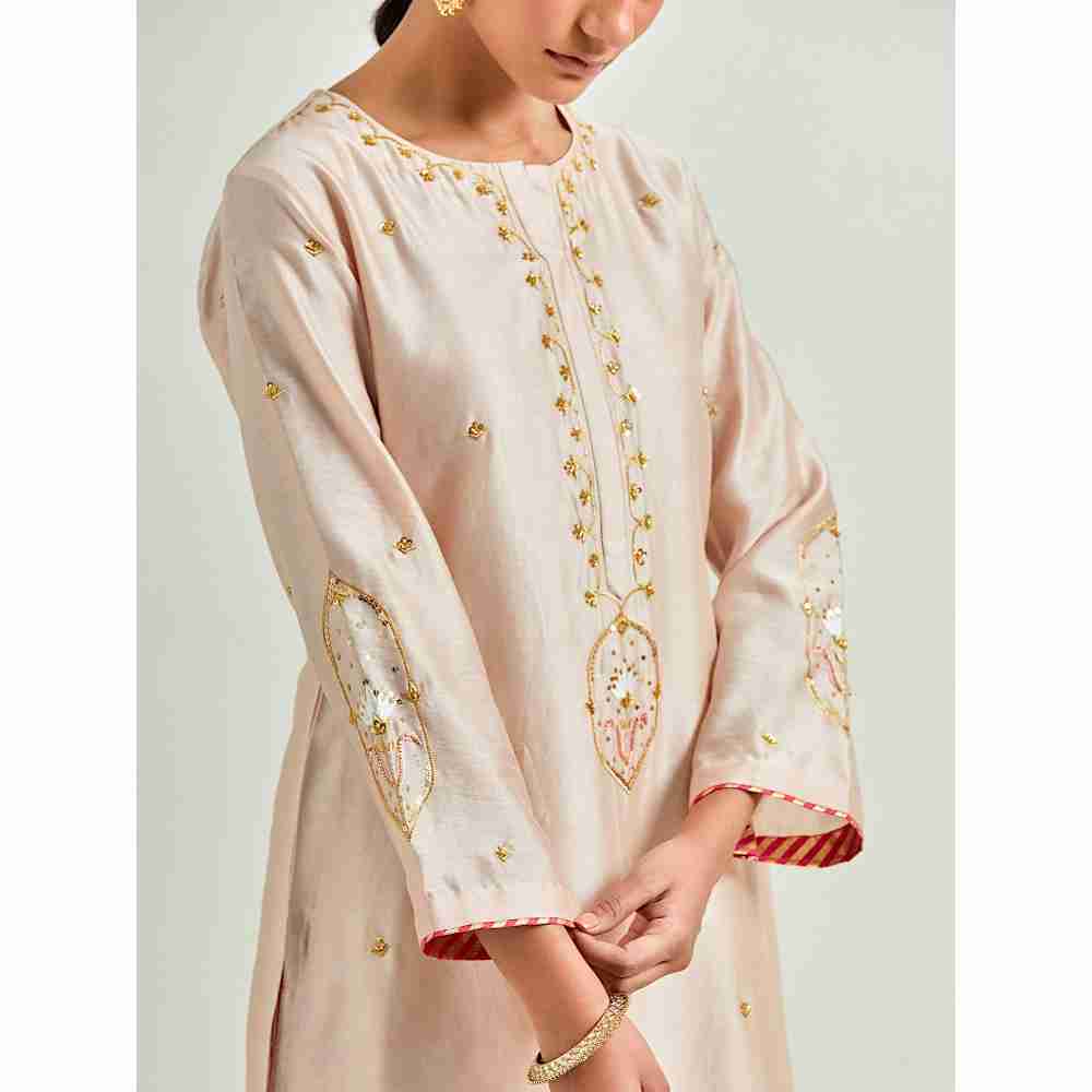 Anantaa by Roohi Trehan Beige Hand Embroidered Silk Chanderi Kurta with Gota