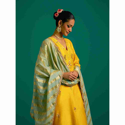 Anantaa By Roohi Trehan Yellow V Neck Hand Embroidered Thread Work Silk Chanderi Kurta