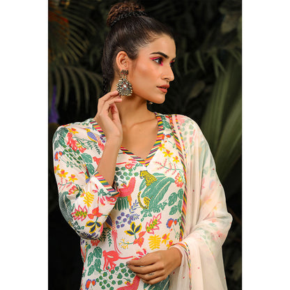 Baise Gaba Ambar Kurta