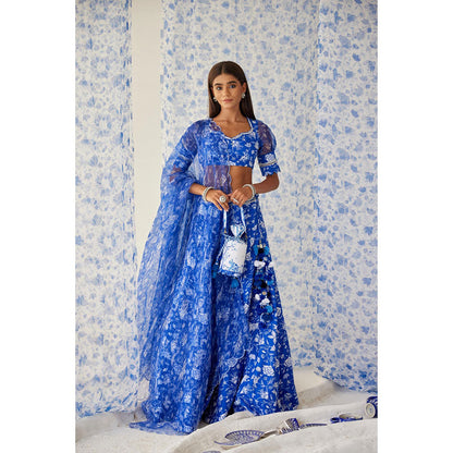 Baise Gaba Blue Ihanna Lehenga (Set of 3)
