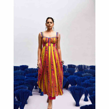 Baise Gaba Roze Multi-Color Anarkali Kurta
