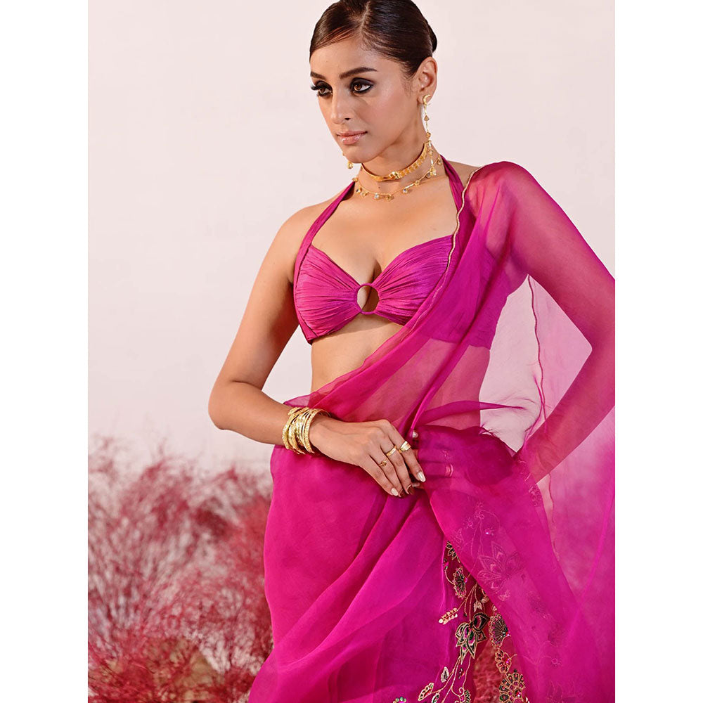 Baise Gaba Dastaan Saree with Unstitched Blouse