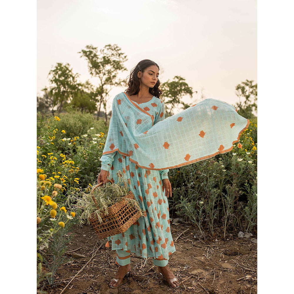 Baise Gaba Blue Camelia Anarkali