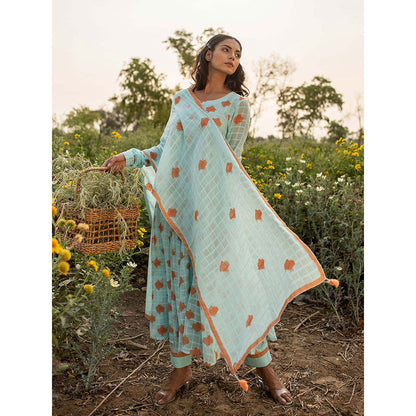 Baise Gaba Blue Camelia Anarkali